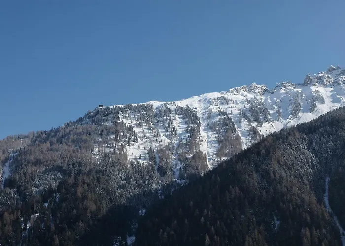 Haus Schoenblick * 施图拜河谷新施蒂夫特